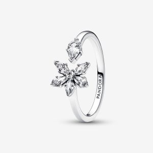 Pandora “Glittrande naturinspirerad ring” – Ring